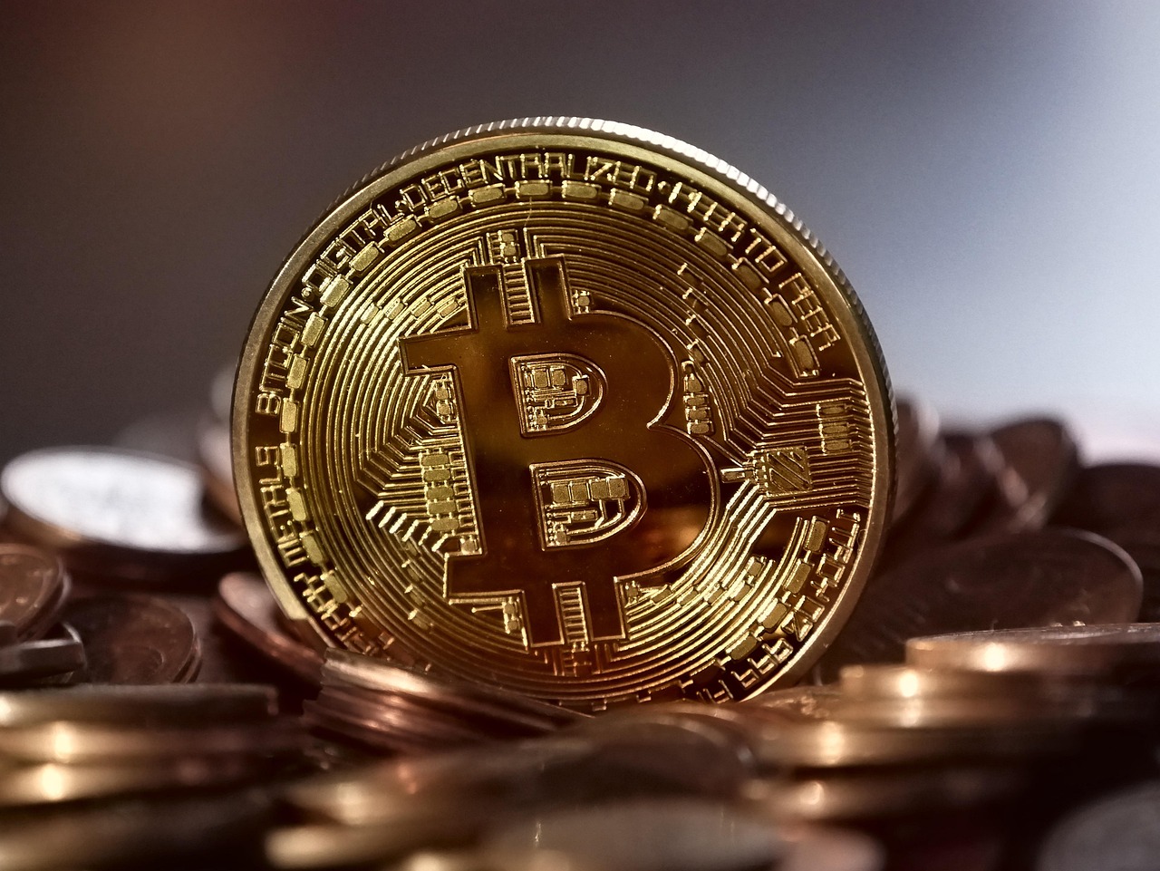 AI概念币ACT、IP 同步暴跌20% 又迅速反弹！诡异的币价走势引热议